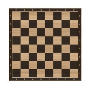 Échiquier éducatif pour enfants avec coordonnées |   Tapis d'échecs à grands caractères, facile à lire |   Jeu d'échecs portable pour l'apprentissage, intérieur/extérieur - Product Image 6