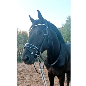 บังเหียนม้าหนังแท้สำหรับขี่ม้าโลโก้ออกแบบได้ตามต้องการผลิตภัณฑ์ขี่ม้าแบบตะวันตกที่มีความทนทาน - Product Image 3