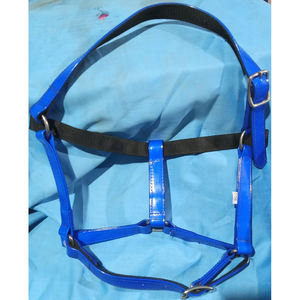 EN VENTA Halter de caballo de PVC Halter árabe India hizo halters color AZUL EN dólar 4 mazorca completa Shetland - Product Image 1