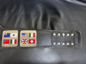 Ceinture de champion de lutte du monde en alliage de zinc léger, design drapeaux internationaux, équipement d'arts martiaux de haute qualité - Product Image 6