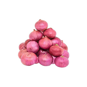 Cebolla amarilla y roja de alta calidad al mejor precio para sus necesidades desde Egipto - Product Image 5