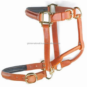 Productos ecuestres de Carreras de Caballos personalizados, cabestro acolchado de cuero genuino bronceado duradero con herrajes de latón macizo - Product Image 3