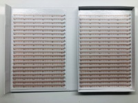 Boîte XXL 20 lignes 40 lignes de cils pré-faits 2D 3D 4D 5D 6D Extensions de cils de bonne qualité volume cils base pointue soie coréenne