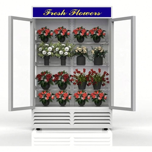 Glass Door Refrigerator 300L Stainless Steel Upright Cooler with LED Lighting - Product Image 5