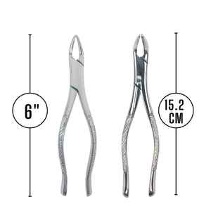 Pinzas de Extracción Dental de 6 Pulgadas (15.2 cm), Instrumento Quirúrgico Manual para Fragmentos de Raíces Pequeñas, Bicuspides Superiores e Inferiores, y Dientes Deciduos - Product Image 4