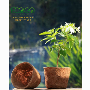 กระถางต้นไม้ใยมะพร้าว ECO2GO ย่อยสลายได้ เป็นมิตรกับสิ่งแวดล้อม ผลิตในเวียดนาม สำหรับใช้ในสวนและบ้าน - Product Image 3