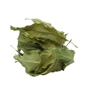 ชาใบมะม่วงอบแห้ง จัดส่งรวดเร็ว ขายดี ปี 2026 ใบมะม่วงอบแห้งธรรมชาติ สำหรับชงชาเย็น ใบมะม่วงจากเวียดนาม - Product Image 5