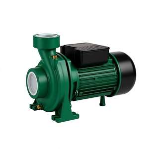 SnowFlake THF5AM Centrifugal Pump 1HP Single-Phase Electric Motor 1 in Discharge Flange Connection for Irrigation Agriculture - Product Image 1