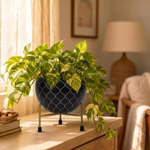 Pot de fleurs en métal noir avec support en métal doré, pot de fleurs décoratif moderne pour plantes d'intérieur, décoration élégante pour le salon - Product Image 4