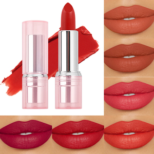 Lápiz Labial Mate de 12 Colores, Alta Pigmentación, Larga Duración, Resistente al Agua, Acabado Suave y Aterciopelado - Product Image 1