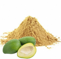 Poudre de mangue de qualité supérieure, poudre d'amchur, épice alimentaire pour assaisonnement, fournisseur en gros