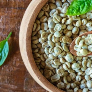 Wholesale Bulk Vietnam Robusta <b>Green</b> <b>Coffee</b> Beans Natural Unroasted Seeds OEM ODM Export Grade 12% Moisture Pham Dinh Brand - Product Image 2