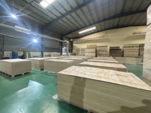 Contreplaqué de pin de qualité AA, résistant à l'eau, durable, écologique, pour décoration intérieure, fabriqué au Vietnam, réutilisable 6 à 8 fois, en promotion (norme E0) - Product Image 4