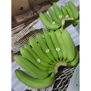 Bananes Cavendish vertes de qualité supérieure, produits frais bruts pour la production de chips, la cuisine et l'utilisation alimentaire industrielle - Product Image 5
