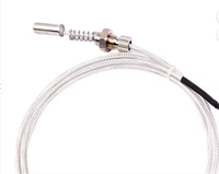 Sensor de Temperatura PT100 RTD Personalizable con Cable de 3 Hilos, Sonda Flexible para Uso Industrial y Doméstico, USB, OEM, ODM para Petróleo