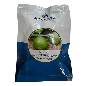 Advanta GOLDEN SELECTION Classic Tinda <strong>Seeds</strong> F1 Hybrid Vigorous <strong>Creeper</strong> Fresh Okra with Uniform Green Round Fruit - Product Image 1