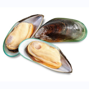 Mariscos de alta calidad, moluscos congelados en media concha, en venta - Product Image 1