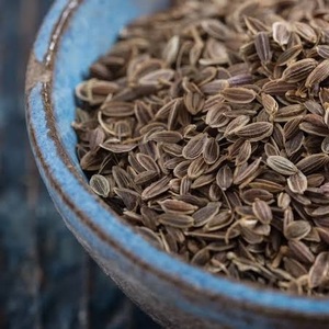 Extracto de Semillas de Diente de León Silvestre Natural Premium, Sabor Herbal Fresco, Uso Diario en Cocina, de la India, Exportación a Granel a Bajo Precio - Product Image 2