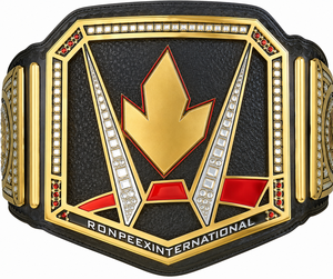 Ceinture d'entraînement d'arts martiaux Ronpex International personnalisable en laiton et cuir, réglable, unisexe, épaisseur 3 cm - Product Image 1
