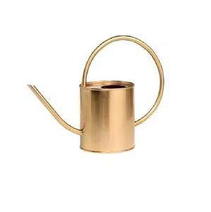 Arrosoir en métal polyvalent, outil d'arrosage pour plantes d'intérieur et d'extérieur - Product Image 4