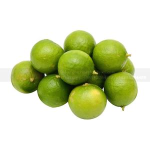 El principal proveedor vietnamita ofrece limones enteros orgánicos, bonito embalaje, venta al por mayor, cítricos frescos - Product Image 2