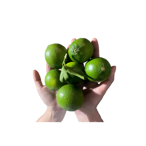 Limón Fresco de Vietnam Elaborado con Fruta de Limón Verde Premium para Producción de Jugos, Uso Culinario y Comercio Mayorista Internacional - Product Image 4