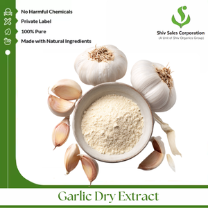 Poudre d'extrait d'ail de qualité supérieure pour les fabricants alimentaires, les mélangeurs d'épices et les besoins de développement de produits culinaires - Product Image 2