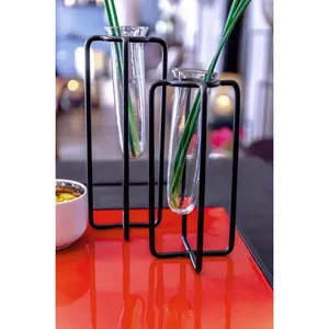 Juego de Jarrones de Vidrio con Marco de Hierro Minimalista, Diseño Costero Ecológico, Decoración de Mesa, Puede Contener Agua, ZAHID EXPORT - Product Image 4
