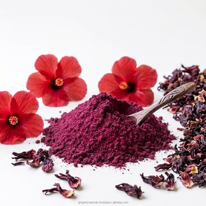 Poudre florale séchée d'Hibiscus Rosa Sinensis en gros pour produits de beauté inspirés du henné - Product Image 4