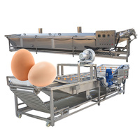Moxin Cuiseur à oeufs électrique Chaudière Convoyeur à rouleaux Cuiseur à oeufs durs Machine à ligne de traitement des aliments