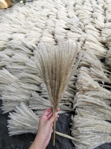 Hierba de Césped Seca Natural de Tailandia, Flor Seca para Decoración Floral, Arreglos de Ramos - Product Image 2