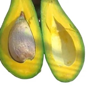 Avocat congelé 100% naturel |   Lisse et Frais |   Fournisseur direct d'usine au Vietnam - Product Image 1