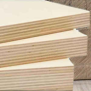 Venta al por mayor de madera contrachapada con revestimiento fenólico de grado DD, material de construcción de primera calidad con chapa de abedul de fábrica vietnamita. - Product Image 5