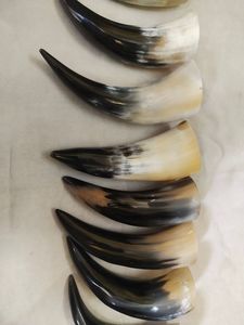 Ensemble de cornes de buffle naturelles polies avec support en bois, dégradé noir et blanc, thème animal, décoration d'intérieur - Product Image 6