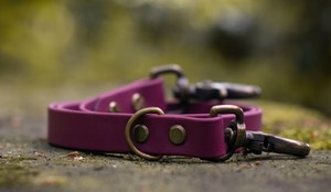 Premium Heavy Duty Eco-Friendly 100% Cotton <b>Dog</b> <b>Leash</b> with Bowknot Decoration - Product Image 2