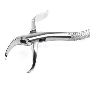 Pinzas de Extracción Dental para Premolares Superiores, Acero Inoxidable, Pinzas Profesionales para Extracción de Dientes, Instrumento Quirúrgico Personalizado - Product Image 2