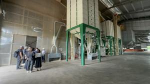 Café en grains d'Arabica vietnamien torréfié de haute qualité OEM, goût fruité, avec un meilleur prix pour les commandes en gros - Product Image 6