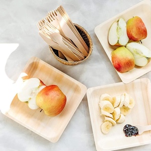 Assiettes de fête modernes de luxe, carrées, compostables, résistantes, en fibre de palmier Areca, adaptées au congélateur, 10 pouces, 50 pièces, pour hôtels et cafés - Product Image 1
