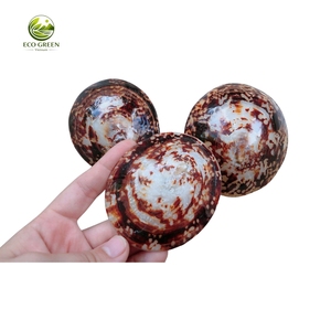 Conchas de Limpet Ovaladas Pulimentadas, Ecológicas y Sostenibles, Par para la Elaboración de Joyería Artesanal, Decoración del Hogar y Coleccionismo Artístico - Product Image 2