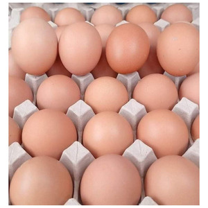 ไข่ไก่สดคุณภาพสูงสำหรับขาย ไข่ไก่จากฟาร์ม ผู้จำหน่ายไข่ไก่ ขายส่ง - Product Image 6
