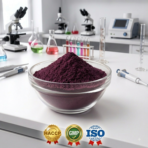 Poudre de mûre noire de haute qualité, poudre de fruits naturelle, fournisseur en gros, fabricant, exportateur, Inde - Product Image 4