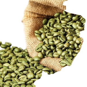 Granos de café verde Robusta de Vietnam y granos de café verde Arábica Grano de calidad superior de grado profesional Cultivo más nuevo WS + 84326055616 - Product Image 3