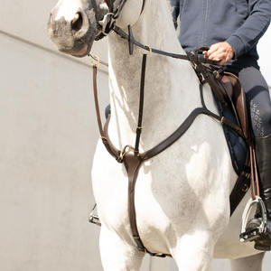 Harnais de polo pour cheval, rembourré et doux, conçu pour un confort optimal, une position de selle sécurisée et une utilisation pour l'entraînement équestre. - Product Image 6