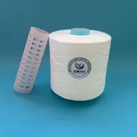 Benang Polyester Spun 20s 100% Serat Staple Polyester Virgin Ne 20/2 untuk Produksi Benang Jahit dan Manufaktur Tekstil