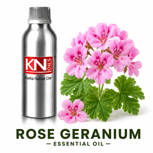 น้ำมันหอมระเหยโรสเจอเรเนียมบริสุทธิ์ 100% ออร์แกนิค ได้รับการรับรอง Pelargonium graveolens ผู้ผลิตขายส่ง เกรดเครื่องสำอาง ผู้ส่งออกทั่วโลก - Product Image 1
