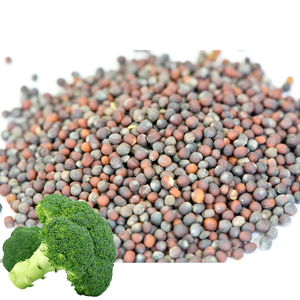 Bán buôn Chất lượng cao hữu cơ tự nhiên Bông Cải Xanh hạt giống trong đóng gói số lượng lớn 2025 - Product Image 3