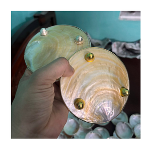 Plato de Nácar Natural de Lujo con Borde Metálico Decorativo Hecho a Mano con Peces Dorados y Plateados, Regalos para Invitados, Bodas y Negocios - Product Image 2
