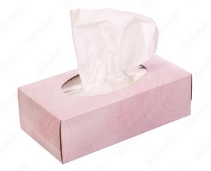 Bulk Recycled Paper Facial Tissue Paper 2 Ply 200 Pulls Hard Pack Biodegradable Tissue Supplier - Product Image 6