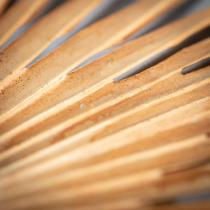 การจัดเรียงการตกแต่งบ้านของดอกไม้แห้งและพืชคอลเลกชันพืชเทียม - Product Image 2