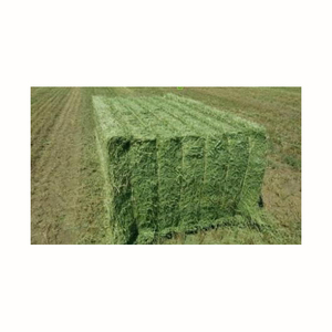 Heno de Alfalfa / La Mejor Alfalfa en Venta - Product Image 2